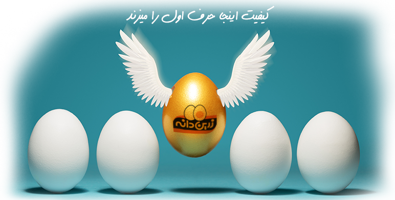 تخم مرغ بسته بندی شده زرین دانه